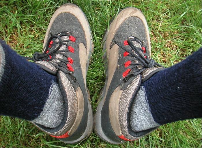 DANISH ENDURANCE Merino Wool Hiking Socks, Cushioned, for Men
